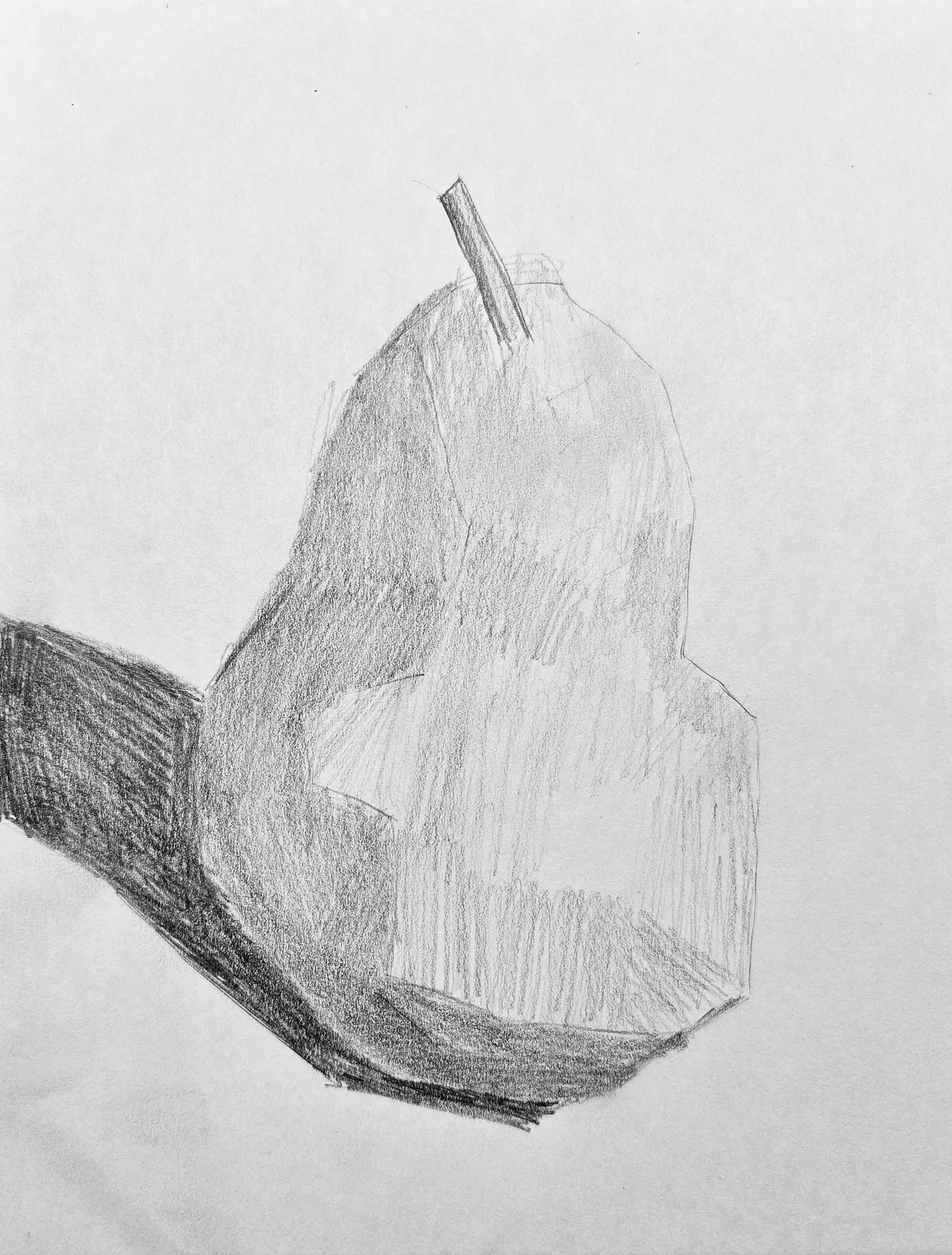 Proko Drawing Basics - Simplify Pear