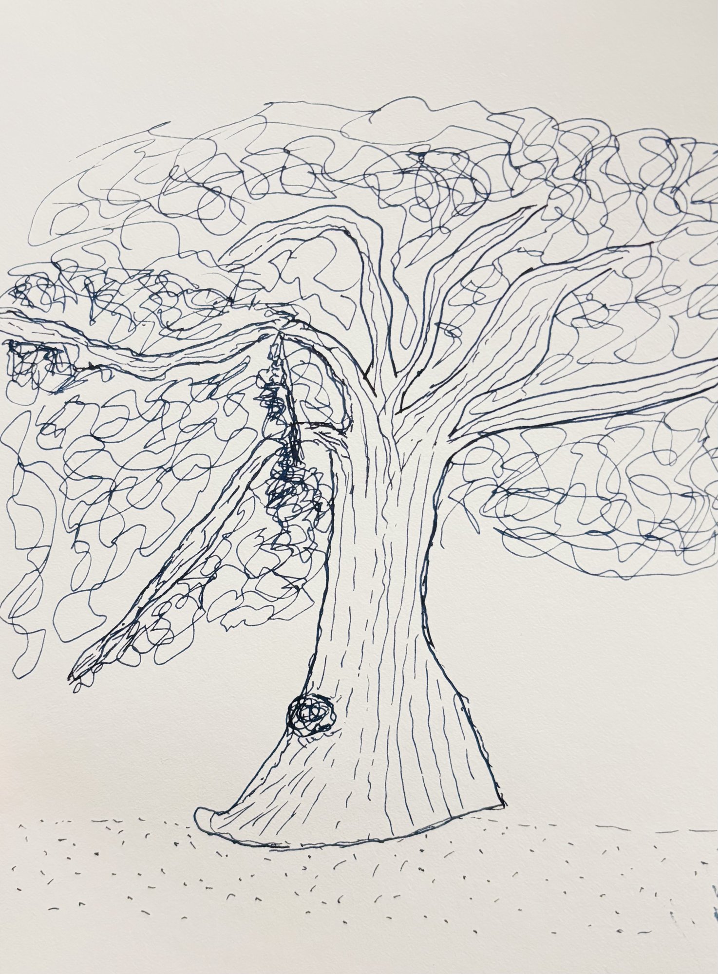 Oak tree sketch